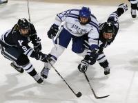 FB体育在线-拉亚神扑定乾坤，南非友谊赛速胜阿森纳背后的战术密码