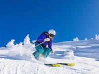 FB体育在线-郑思维关键制胜，法国队完胜泰国队背后的战术博弈与团队精神