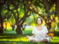 FB体育官方网站-逆转之光，当张本智和点燃赛场，中国队在绝境中重塑荣耀