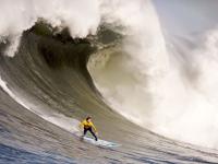 FB赛事直播-唯一的上帝模式，2016年ATP年终总决赛，穆雷如何用横扫定义统治